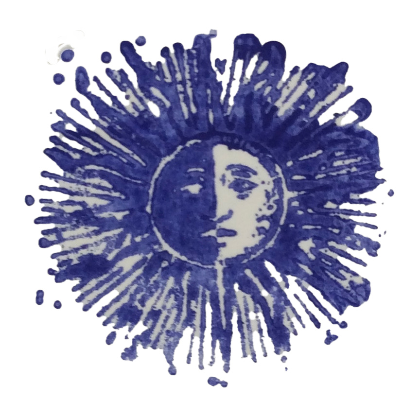 logo_popybis